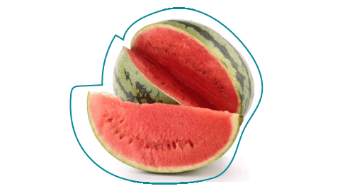 Watermelon size comparison