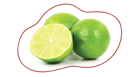 Lime comparison for week 11